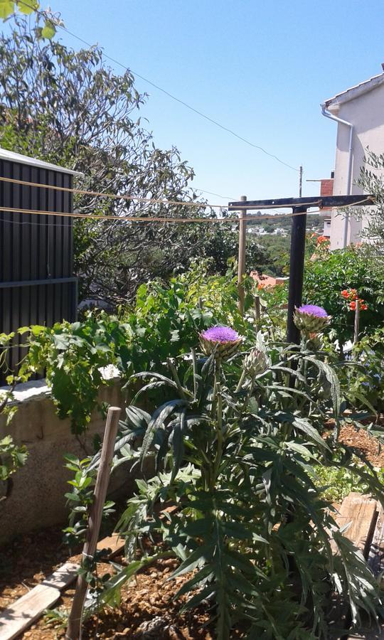 House Krk Ξενοδοχείο Krk Town Εξωτερικό φωτογραφία